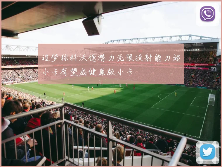 追梦称科沃德潜力无限投射能力超小卡有望成健康版小卡