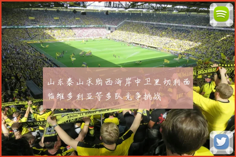 山东泰山求购西海岸中卫里切利面临维多利亚等多队竞争挑战