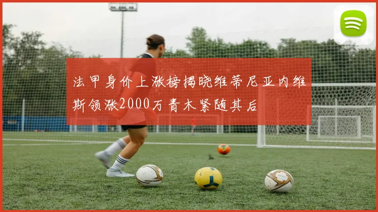 法甲身价上涨榜揭晓维蒂尼亚内维斯领涨2000万青木紧随其后